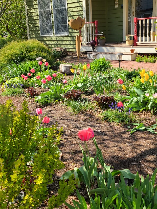 view of yard featuring a deck