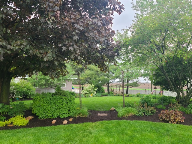 5995 W Clare Rd, Clare, IL 60111 - view of yard