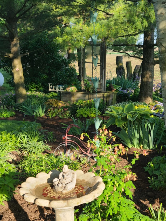 5995 W Clare Rd, Clare, IL 60111 - view of yard