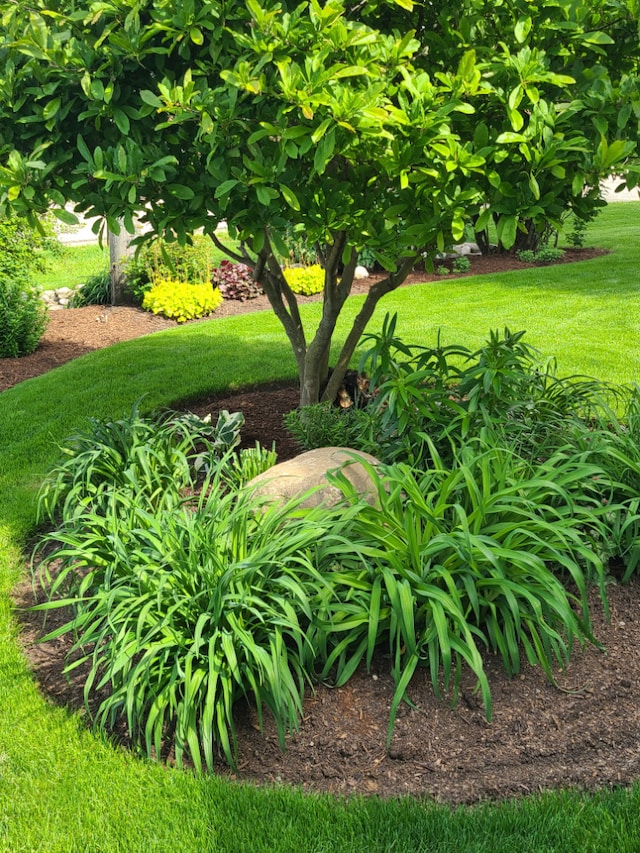 5995 W Clare Rd, Clare, IL 60111 - view of grassy yard