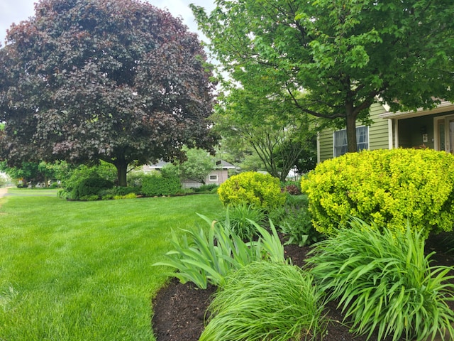 5995 W Clare Rd, Clare, IL 60111 - view of grassy yard