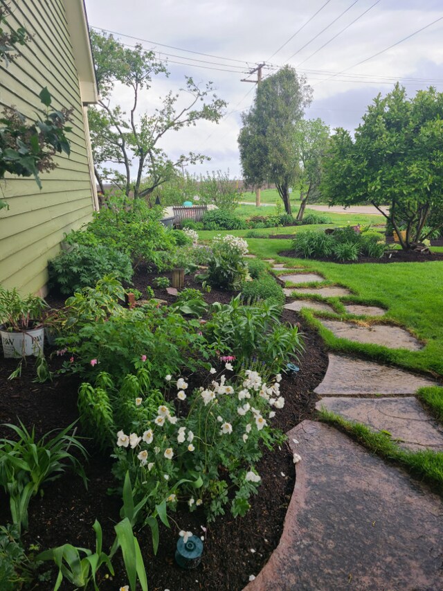 5995 W Clare Rd, Clare, IL 60111 - view of yard