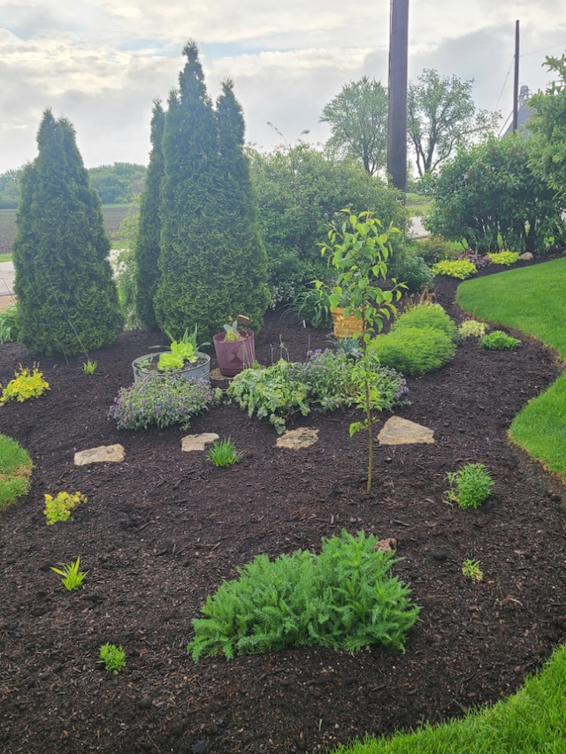5995 W Clare Rd, Clare, IL 60111 - view of yard