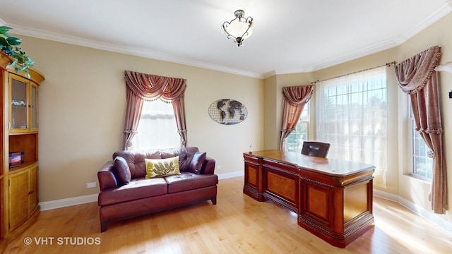 office featuring crown molding, light hardwood / wood-style flooring, and plenty of natural light