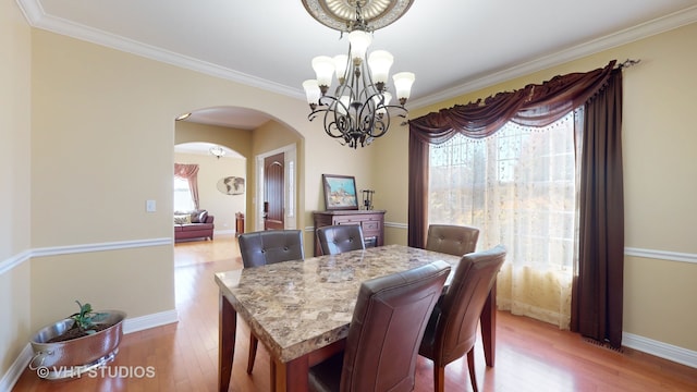 dining room with ornamental molding, light wood-type flooring, and a healthy amount of sunlight