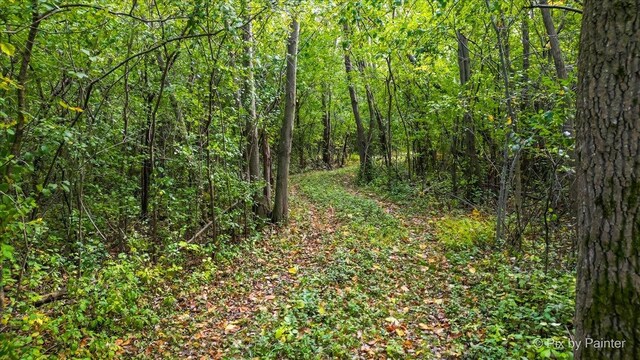 26583 W Lake Rd, Antioch, IL 60002 - photo 9