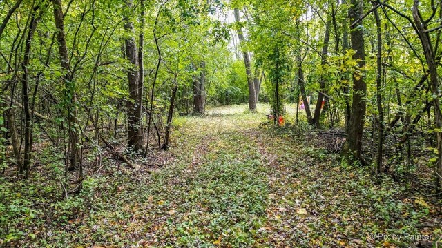 26583 W Lake Rd, Antioch, IL 60002 - photo 10