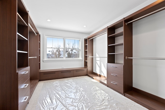 spacious closet with hardwood / wood-style flooring