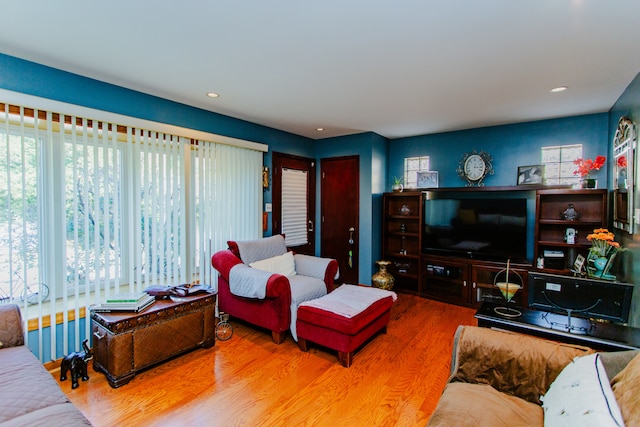 living room featuring hardwood / wood-style flooring