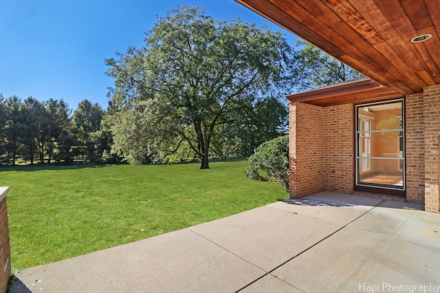 view of yard with a patio area