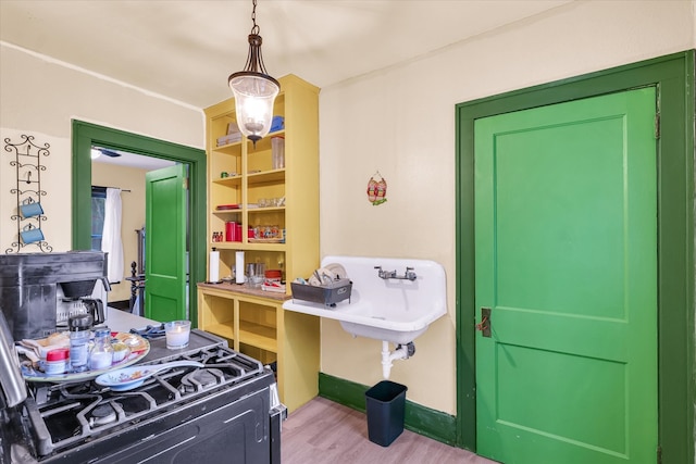 kitchen with light hardwood / wood-style floors and pendant lighting