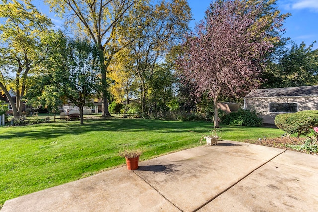 view of yard featuring a patio