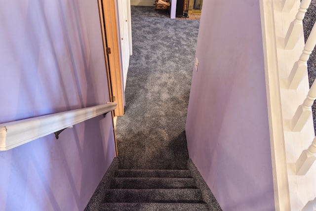 stairway featuring carpet floors