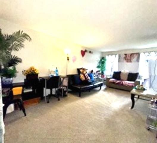 6634 W 95th St Unit 1D, Oak Lawn, IL 60453 - living area featuring carpet flooring