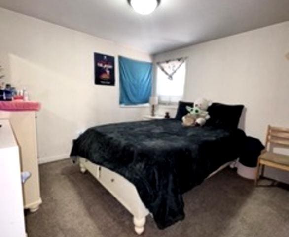 6634 W 95th St Unit 1D, Oak Lawn, IL 60453 - carpeted bedroom with baseboards