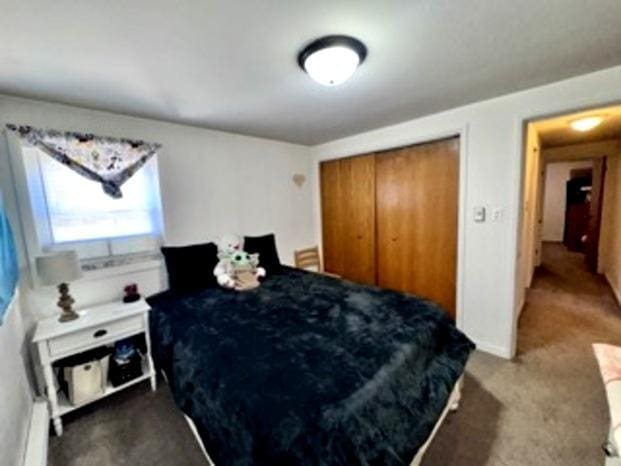 6634 W 95th St Unit 1D, Oak Lawn, IL 60453 - carpeted bedroom with a closet