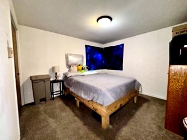 6634 W 95th St Unit 1D, Oak Lawn, IL 60453 - view of carpeted bedroom