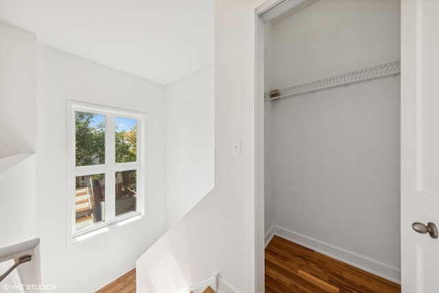 view of closet