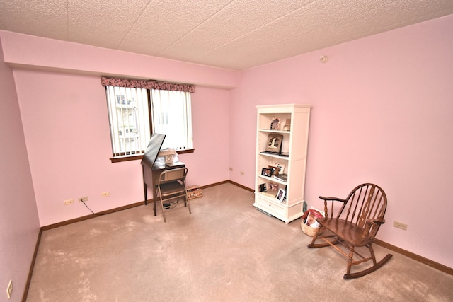 interior space with carpet and a textured ceiling