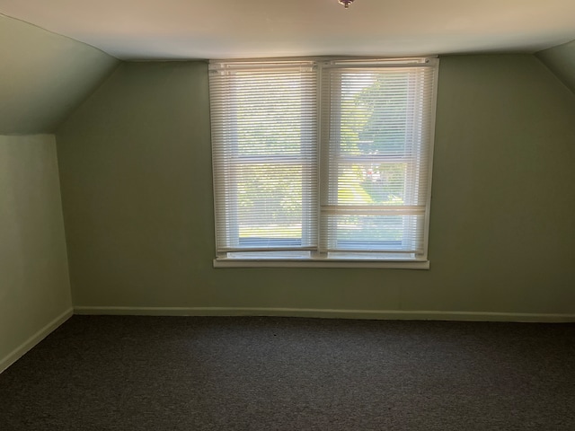 additional living space featuring carpet, lofted ceiling, and a wealth of natural light