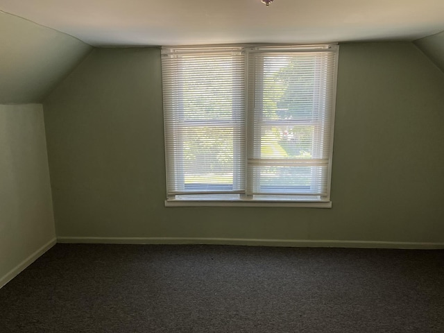 6916 S Lowe Ave, Chicago, IL 60621 - bonus room with a healthy amount of sunlight, carpet floors, baseboards, and lofted ceiling