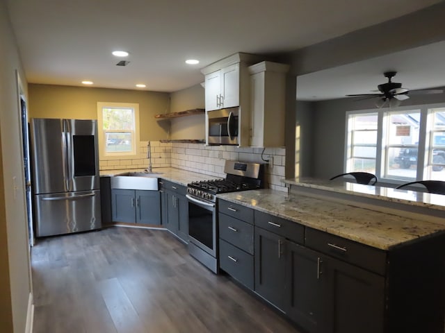 kitchen with white cabinetry, appliances with stainless steel finishes, decorative backsplash, sink, and dark wood-type flooring