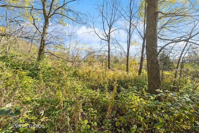 2519 N Ringwood Rd, Mchenry, IL 60050 - photo 11