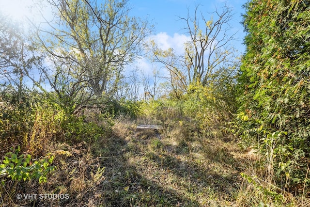 2519 N Ringwood Rd, Mchenry, IL 60050 - photo 3