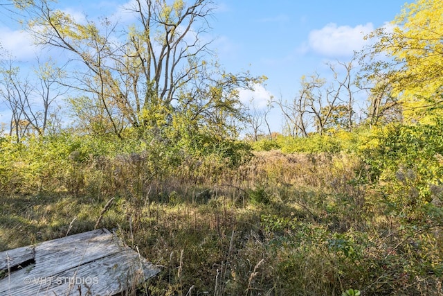 2519 N Ringwood Rd, Mchenry, IL 60050 - photo 4