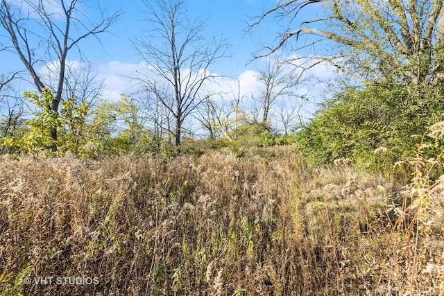 2519 N Ringwood Rd, Mchenry, IL 60050 - photo 6