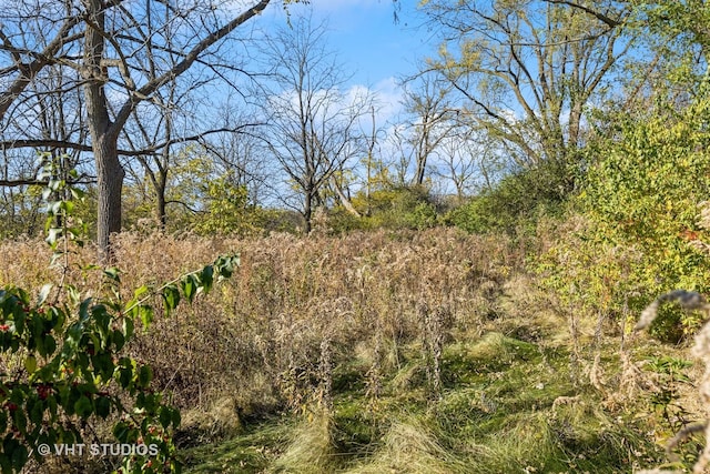 2519 N Ringwood Rd, Mchenry, IL 60050 - photo 8