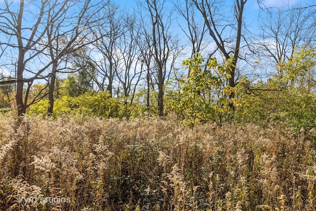 2519 N Ringwood Rd, Mchenry, IL 60050 - photo 9
