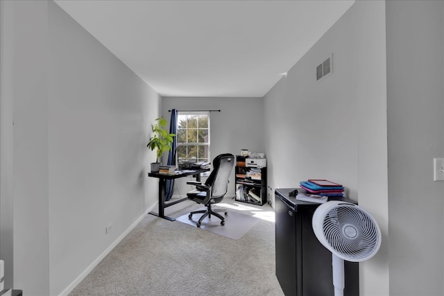 office space with carpet