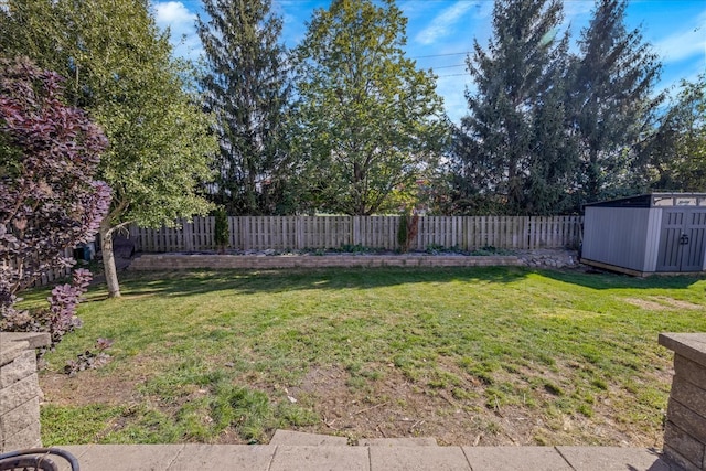 view of yard featuring a shed