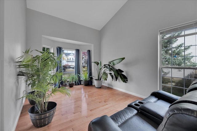 living room featuring wood-type flooring and high vaulted ceiling