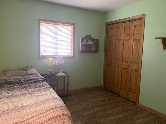 bedroom featuring a closet and dark wood-type flooring