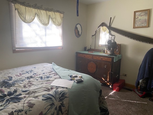 bedroom featuring carpet floors