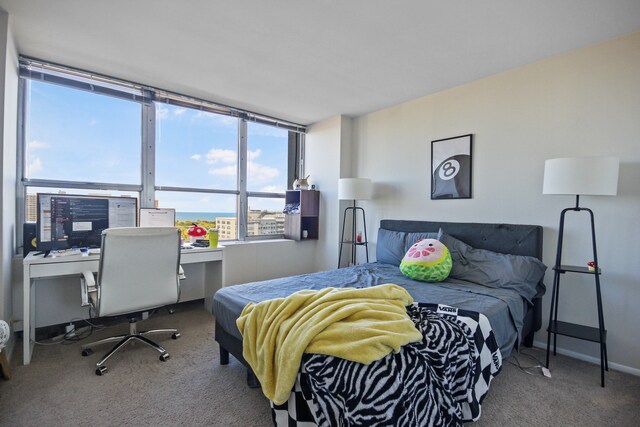 bedroom with carpet flooring