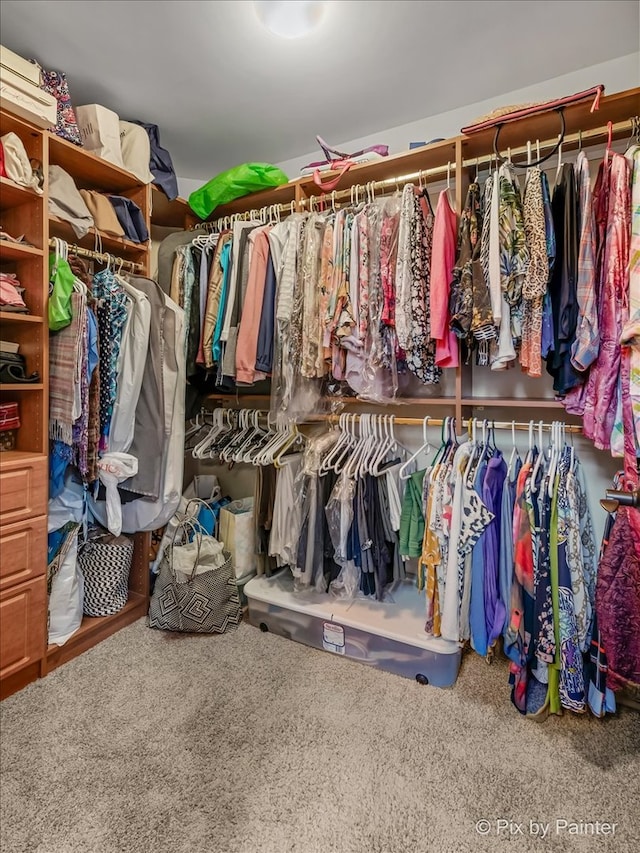 walk in closet with carpet flooring