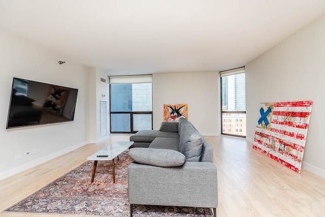 living room featuring wood-type flooring