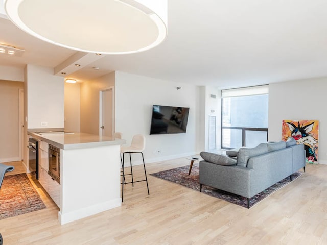 living room featuring light wood-type flooring