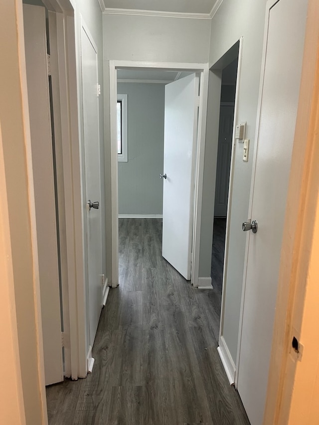 hall with ornamental molding and dark hardwood / wood-style floors