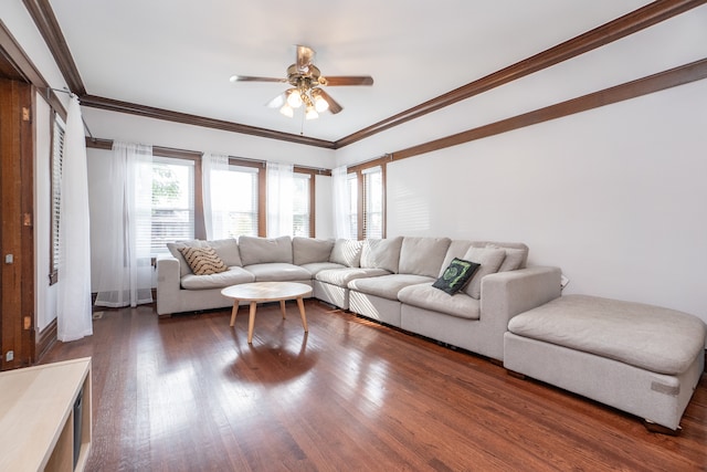 living room featuring crown molding, dark wood-type flooring, and ceiling fan