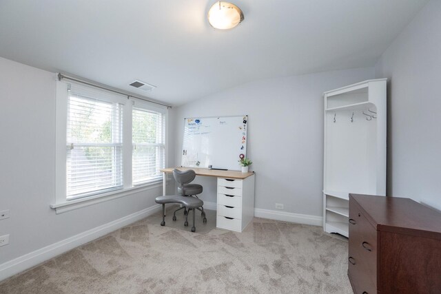 walk in closet with carpet