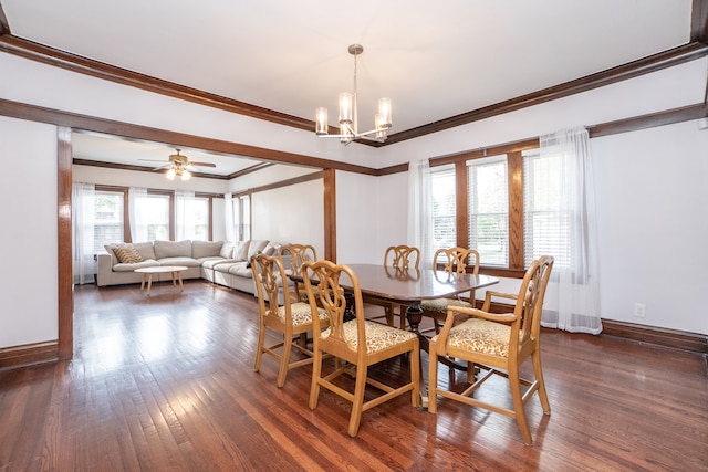 dining room with dark wood-type flooring, plenty of natural light, ornamental molding, and ceiling fan with notable chandelier