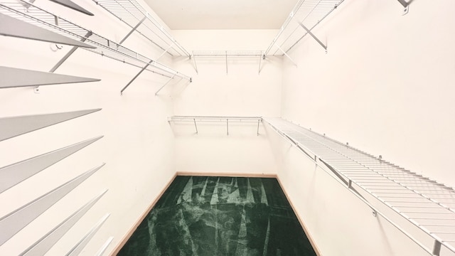 spacious closet featuring carpet flooring