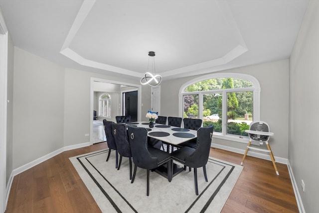 dining room featuring a raised ceiling and wood-type flooring