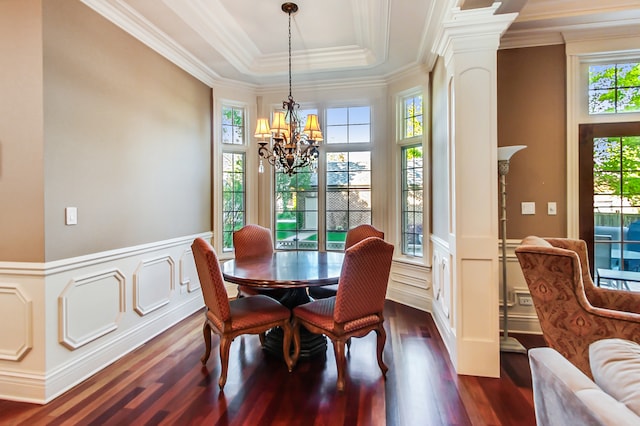 dining space featuring an inviting chandelier, dark hardwood / wood-style floors, a tray ceiling, and plenty of natural light