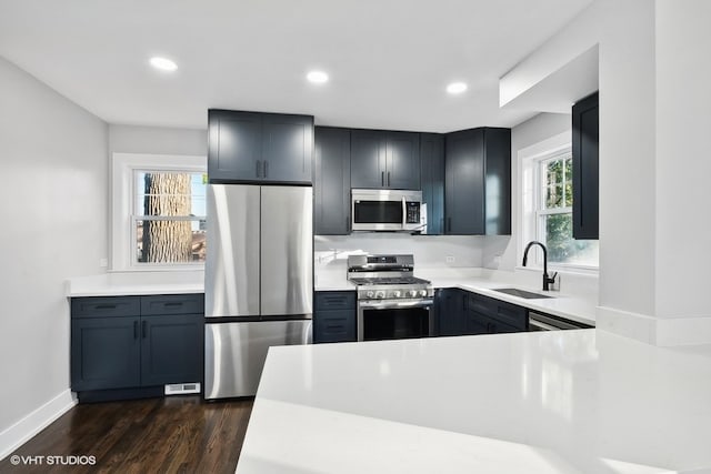 kitchen featuring sink, stainless steel appliances, dark wood-type flooring, and a wealth of natural light