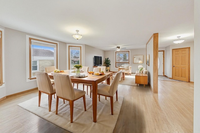 dining room featuring ceiling fan and light wood-type flooring